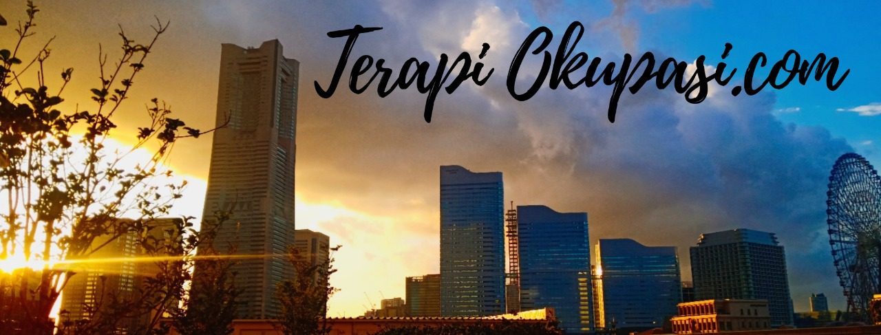 Terapi Okupasi
